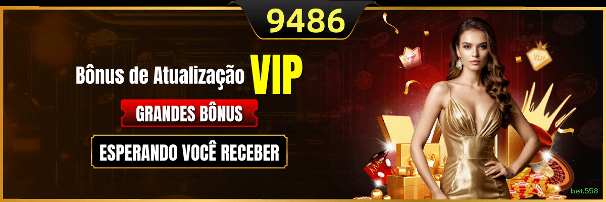 Bônus exclusivos membros VIP bet558